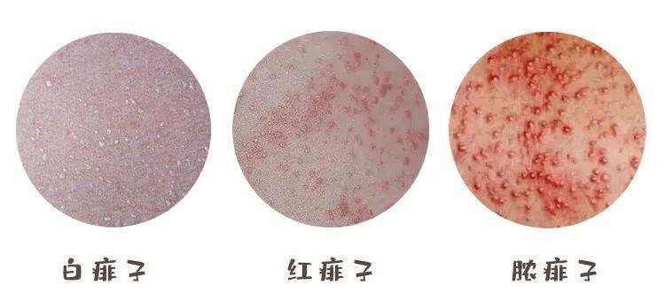 2_看图王.jpg